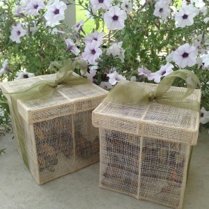 36 Monarch Butterflies in 2 release boxes