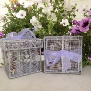 # Dozen Painted Ladies in 2 Release Boxes