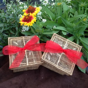 50 Painted Ladies in 2 release Boxes