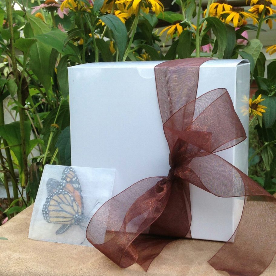 12 Monarch Butterflies for Mass Release Michigan Native Butterfly Farm