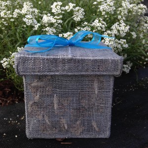 50 Painted Ladies in 1 Release Box