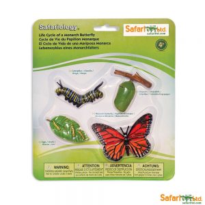 Life Cycle of a Monarch Butterfly Replica Set