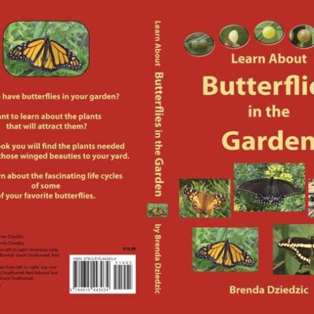 Butterflies In The Garden Book Michigan Native Butterfly