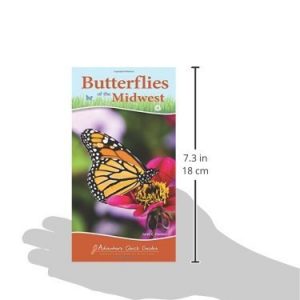 Butterflies of the Midwest Quick Guide