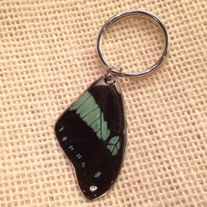Butterfly Wing (Papilio bromius) Key Ring