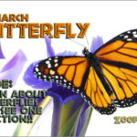 Butterfly Book - Flipbook 978-1934095164