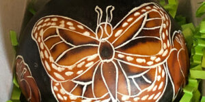butterfly ornament lucuma