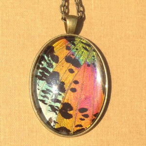 The shimmering array of colors in this real butterfly wing pendant is magnificent. I have handcrafted this necklace from a REAL Madagascar Sunset Moth! The wings are embedded under al arge 30x40mm magnified glass cabochon - set in antique brass. The Chain measures approximately 19 inches and is meant to rest on the chest.