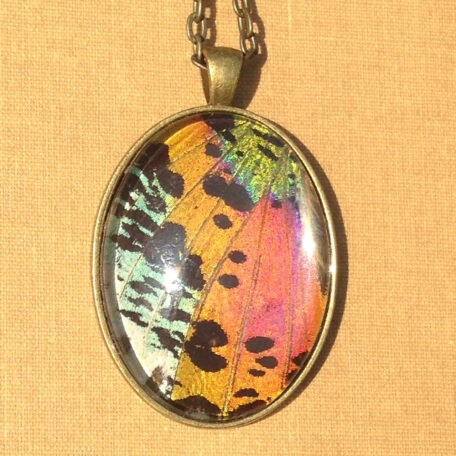 The shimmering array of colors in this real butterfly wing pendant is magnificent. I have handcrafted this necklace from a REAL Madagascar Sunset Moth! The wings are embedded under al arge 30x40mm magnified glass cabochon - set in antique brass. The Chain measures approximately 19 inches and is meant to rest on the chest.