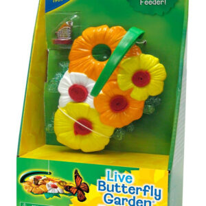 Insect Lore - Butterfly Feeder 2020